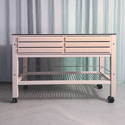 Eksklusivt multimøbel på hjul. Massiv hvid ask