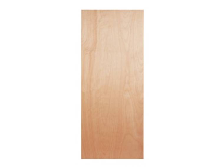 Paintgrade Internal Door