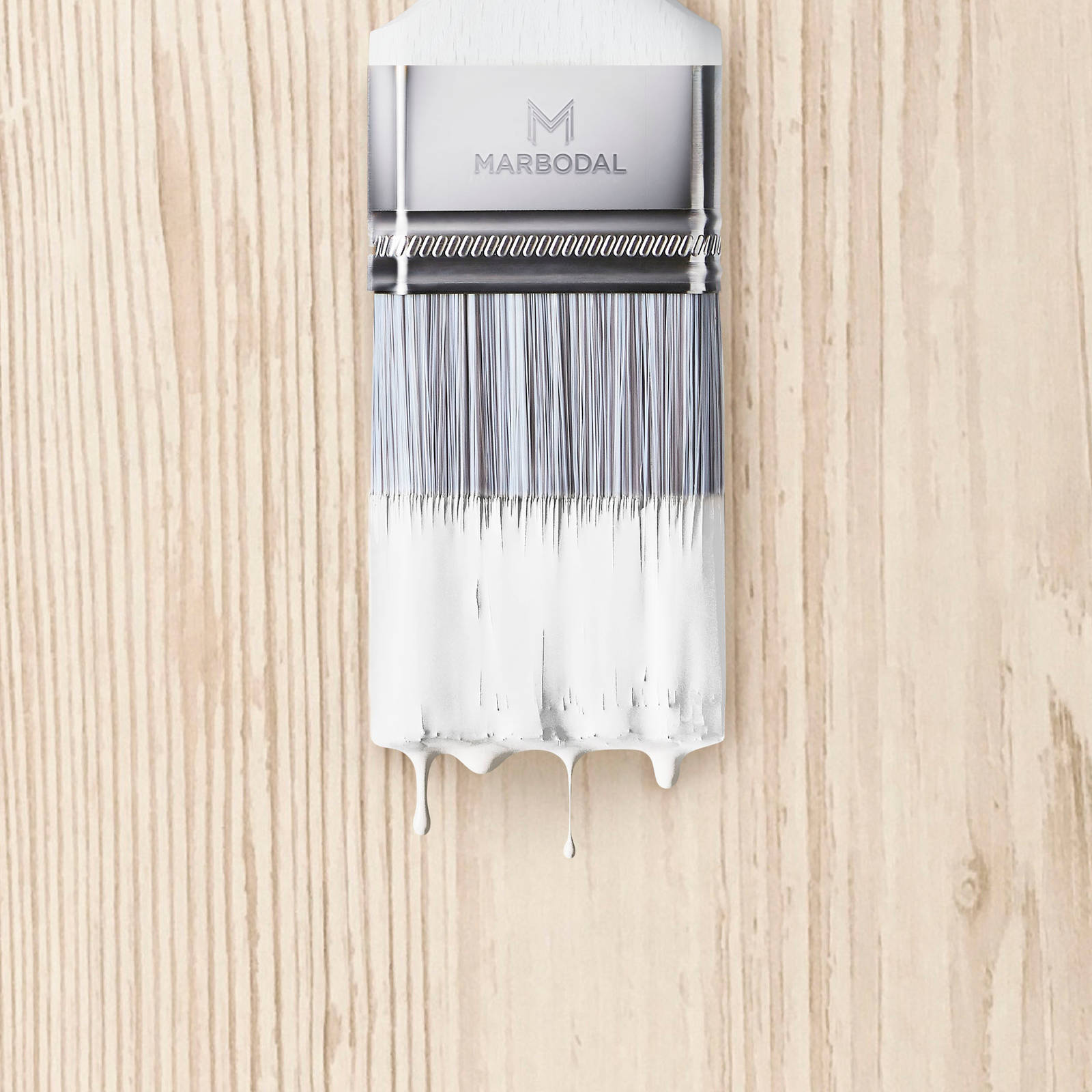 Pensel doppad i vit färg