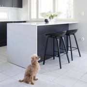 Perhekoira lattialla tummansinisessä Meri maalatussa sileässä keittiössä, jossa valkoinen marmorinen työtaso ja siihen sopiva splashback, keittiösaareke istuinalueella, messinkinupit ja messinkihana