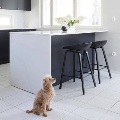 Perhekoira lattialla tummansinisessä Meri maalatussa sileässä keittiössä, jossa valkoinen marmorinen työtaso ja siihen sopiva splashback, keittiösaareke istuinalueella, messinkinupit ja messinkihana