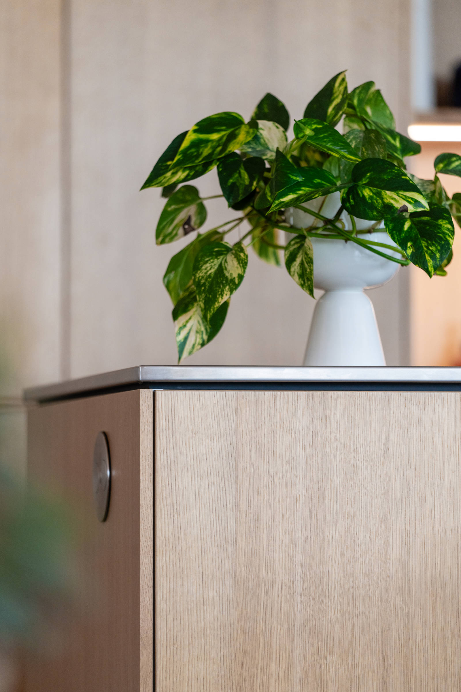 Aito luonnonväri tammi