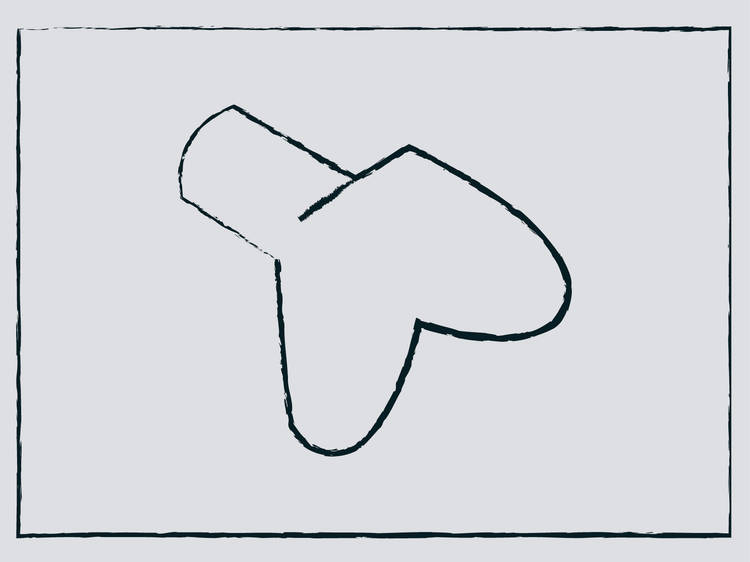 Illustration of Shelf supports