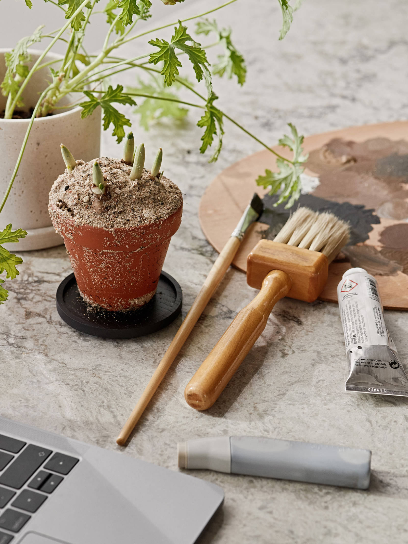 Be naturen inn og la de organiske formene møte hverdagen i Signatur Favn – et grenseløst kjøkken med naturens former i fokus.