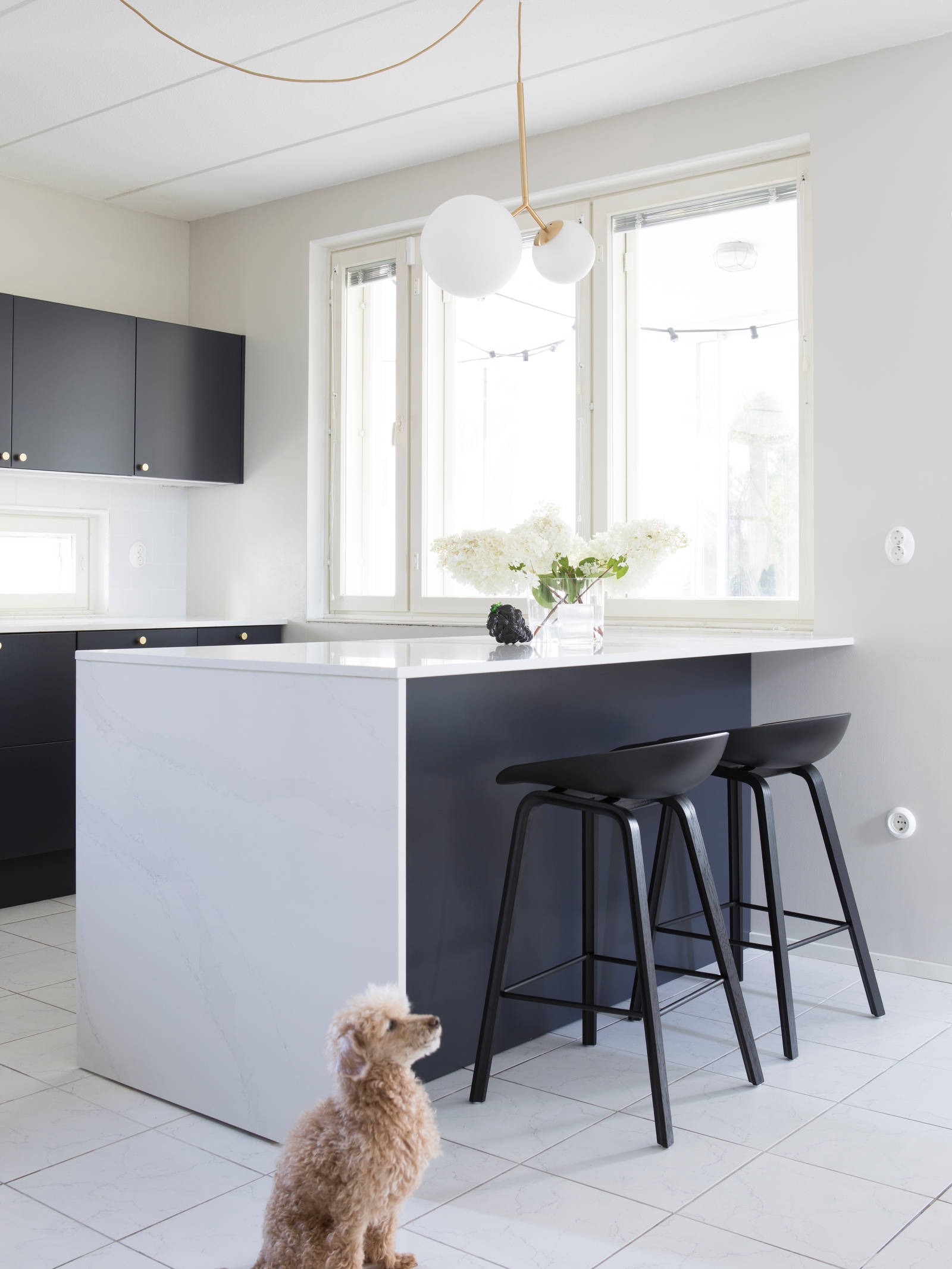 Perhekoira lattialla tummansinisessä Meri maalatussa sileässä keittiössä, jossa valkoinen marmorinen työtaso ja siihen sopiva splashback, keittiösaareke istuinalueella, messinkinupit ja messinkihana