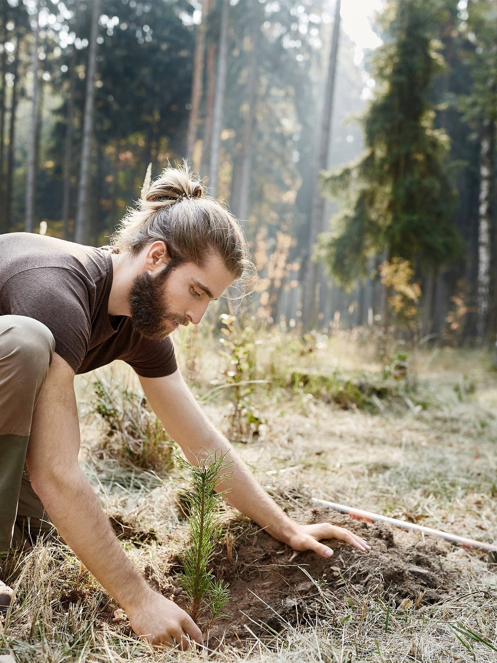 Man planting a tree in a meadow