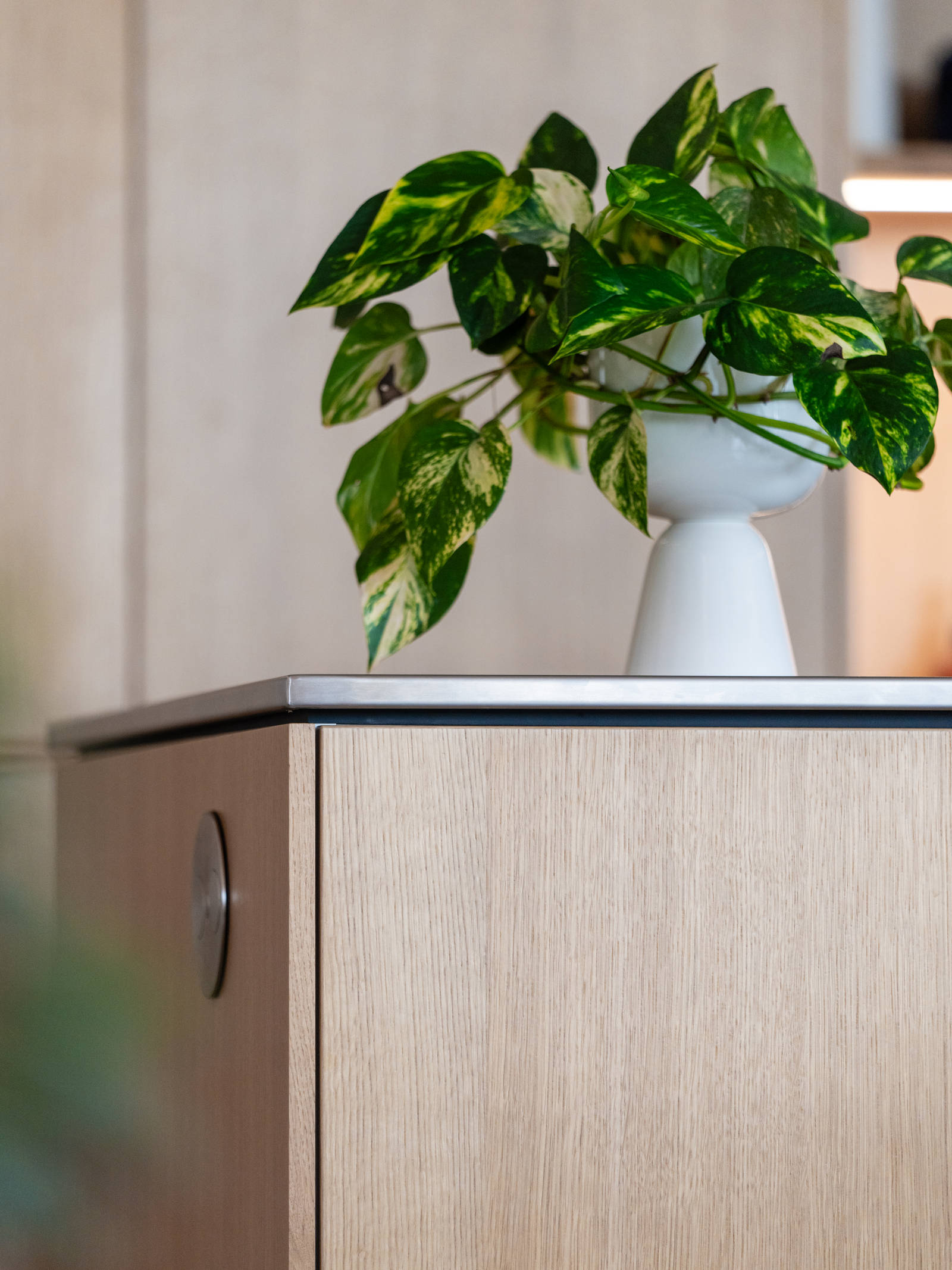 Aito luonnonväri tammi