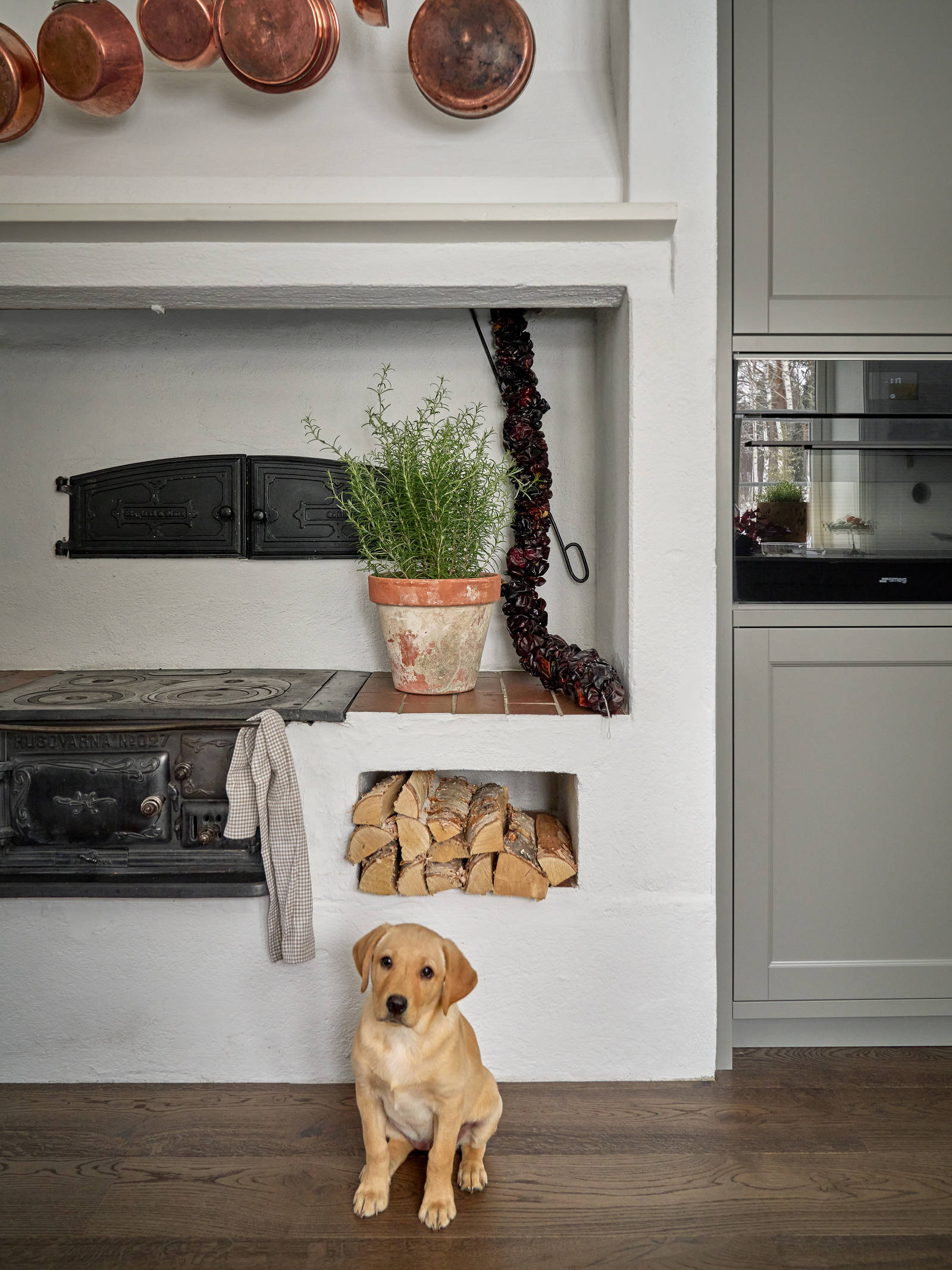 En liten labradorvalp står framför en gammaldags spis.