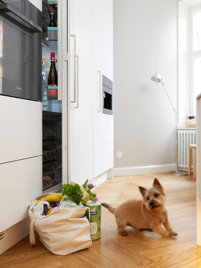 Koira leikkii keittiön lattialla, valkoinen keittiö, jossa sisäänrakennettu kahvaura ovessa, kalanruotopuulattia