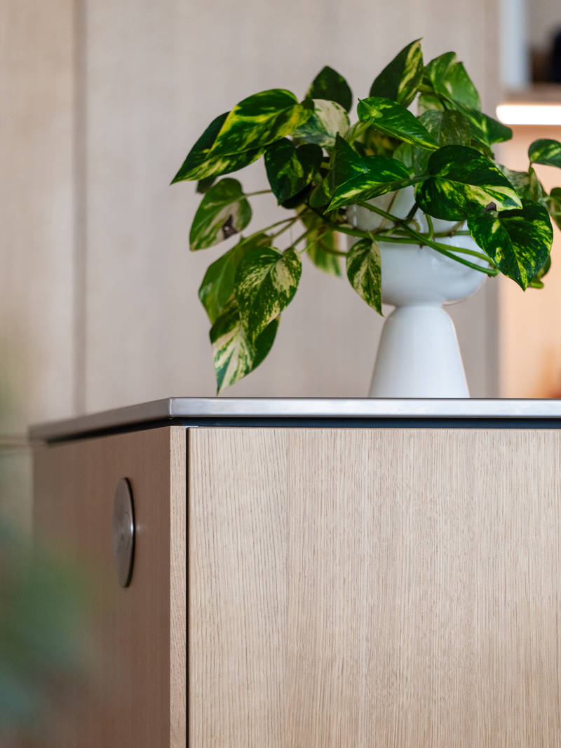 Aito luonnonväri tammi