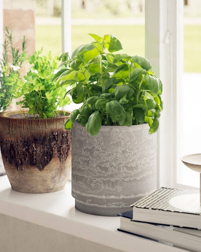 Ceramic pots holding houseplants, in the window