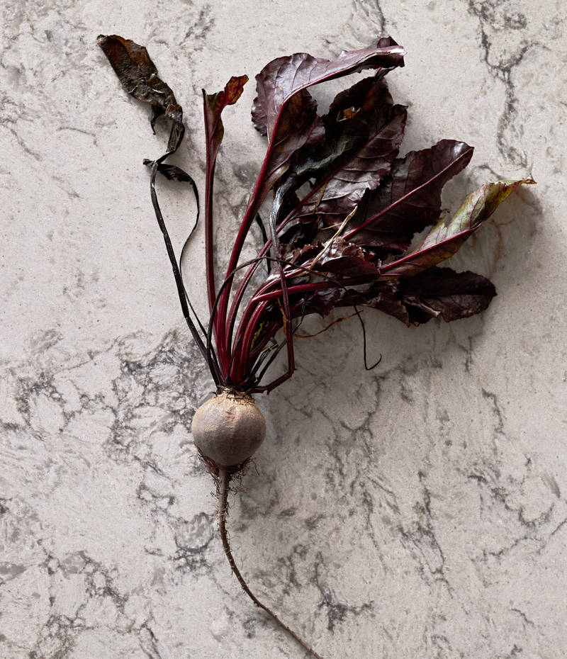 En rødbede hviler på bænken, Mont Blanc Quartzite bordplade