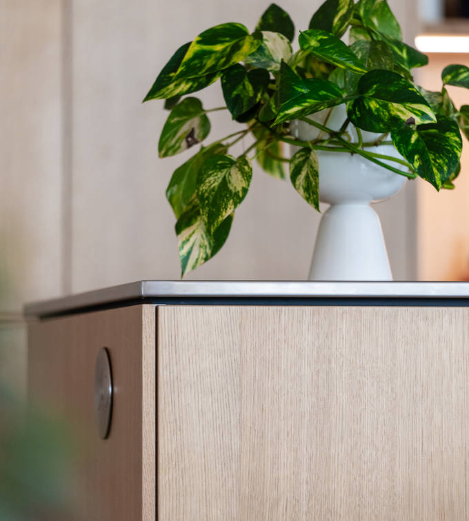 Aito luonnonväri tammi