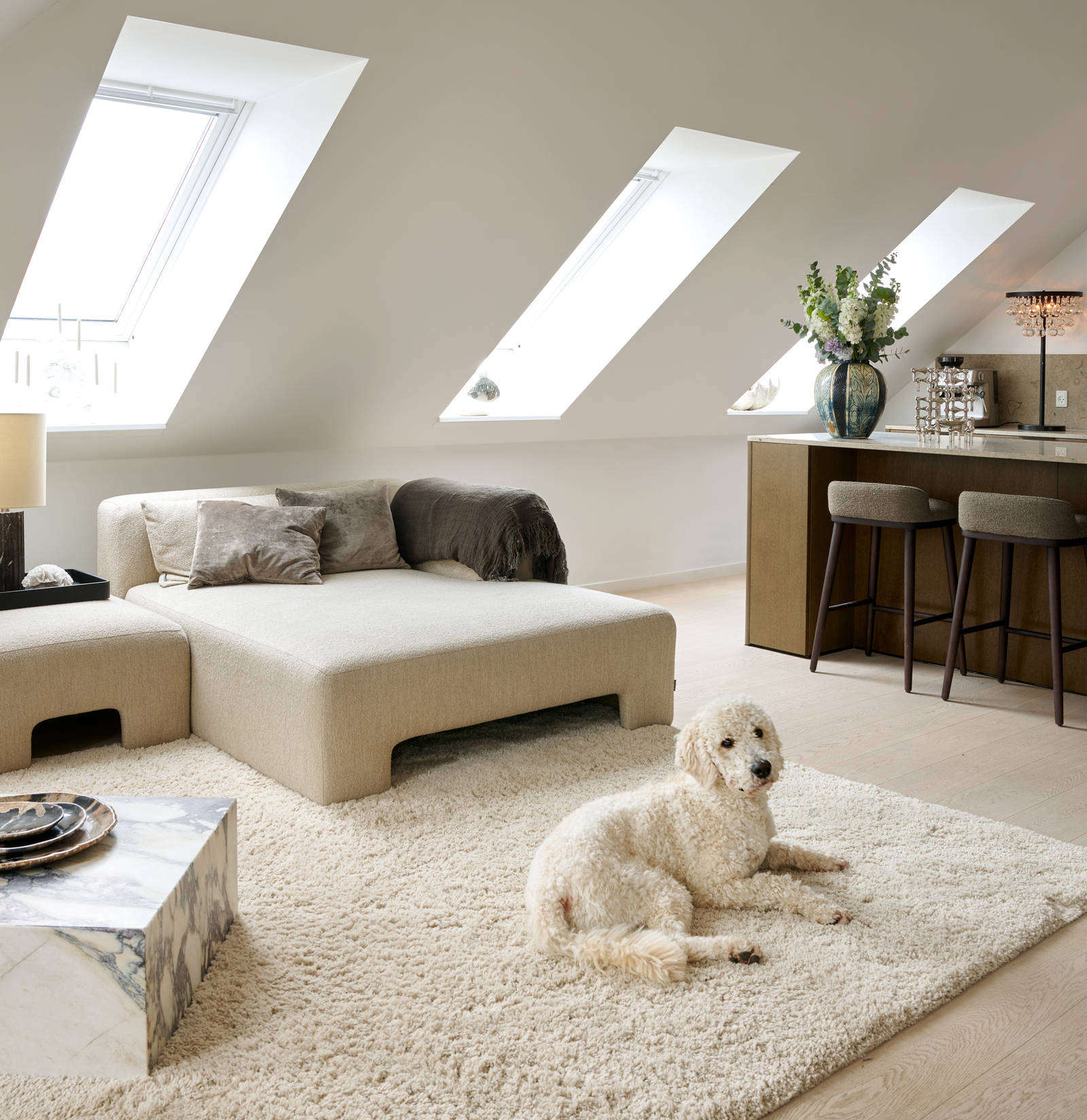 Hunden Winston vilar på mattan i vardagsrummet framför köket i Josephines Re:new Signatur Ekbacken-kök från Marbodal.