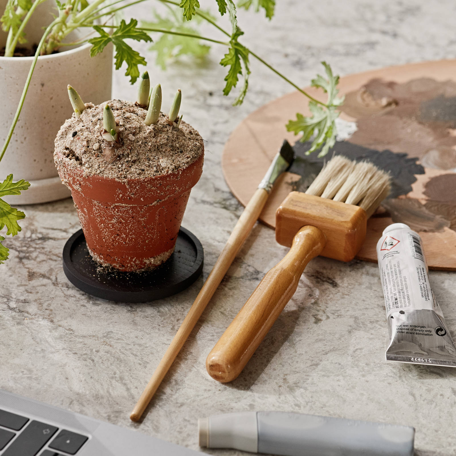 Be naturen inn og la de organiske formene møte hverdagen i Signatur Favn – et grenseløst kjøkken med naturens former i fokus.