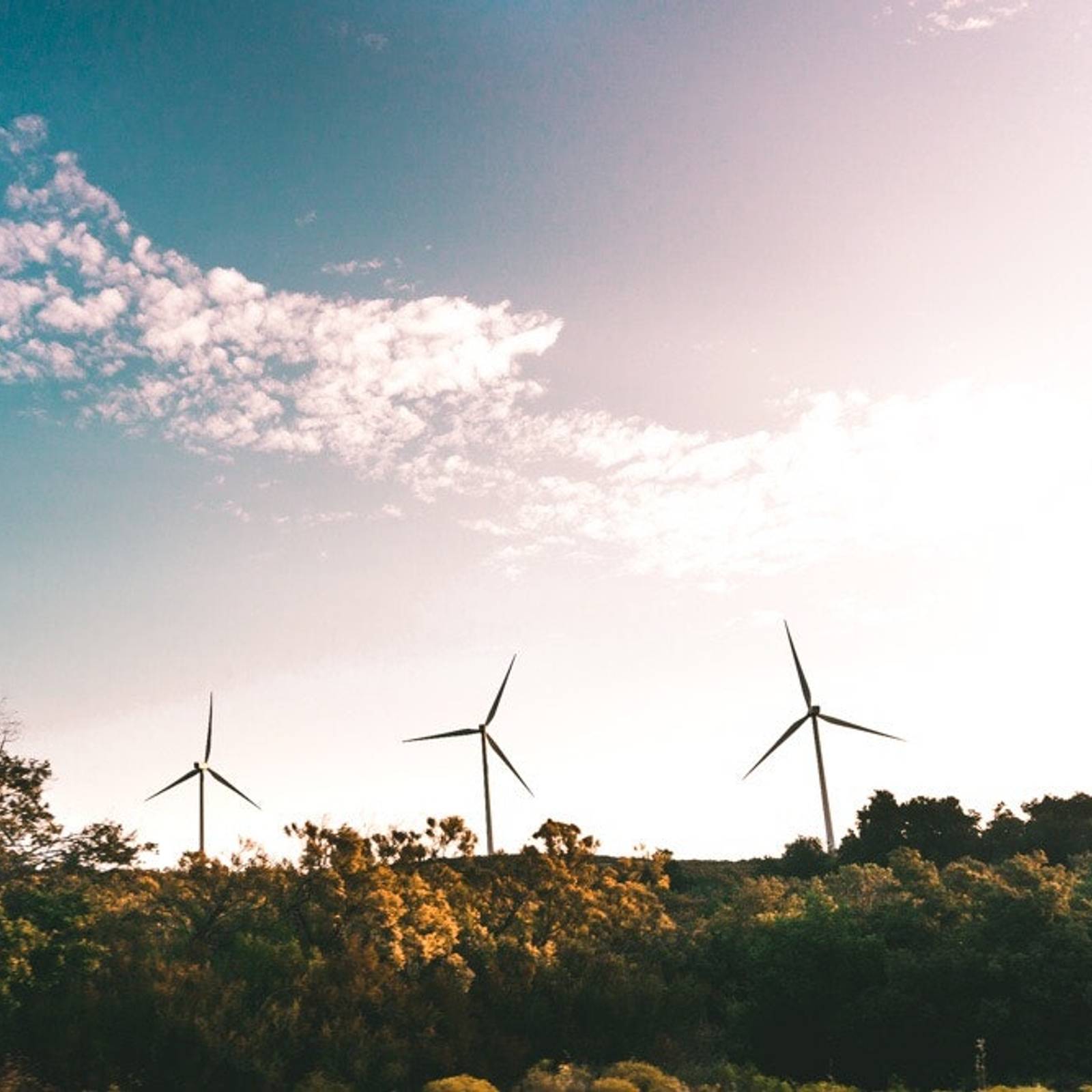 Ett öppet fält med vindkraftverk