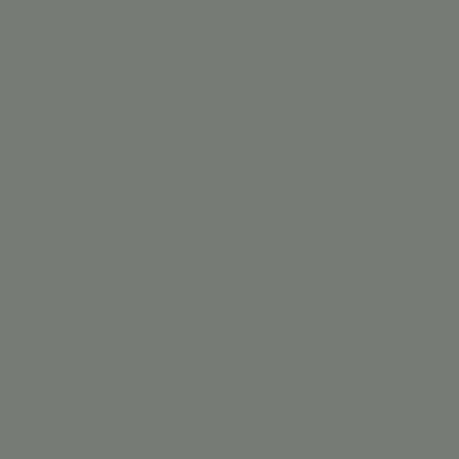 Taupe farve Salvie