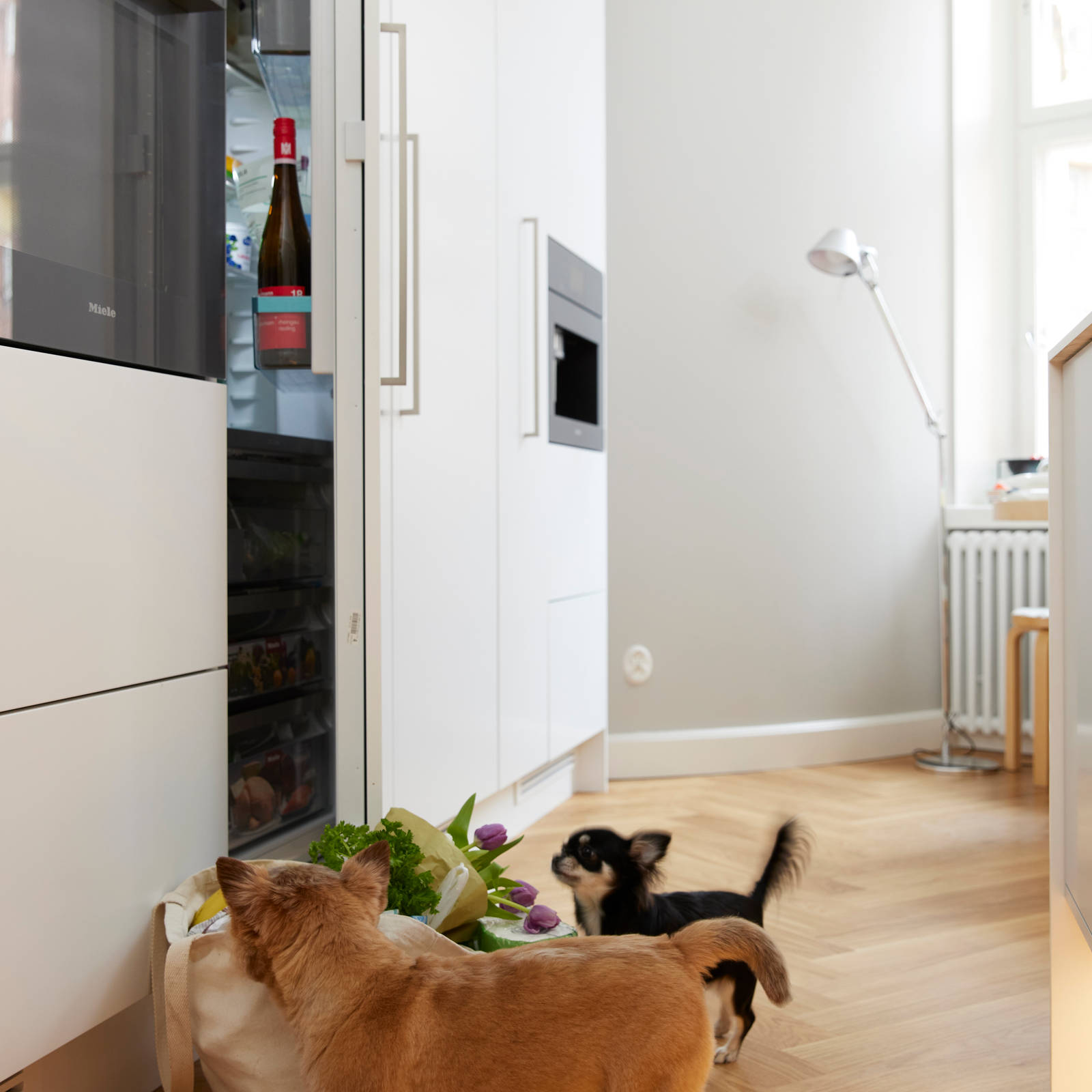 Koira leikkii keittiön lattialla, valkoinen keittiö, jossa sisäänrakennettu kahvaura ovessa, kalanruotopuulattia