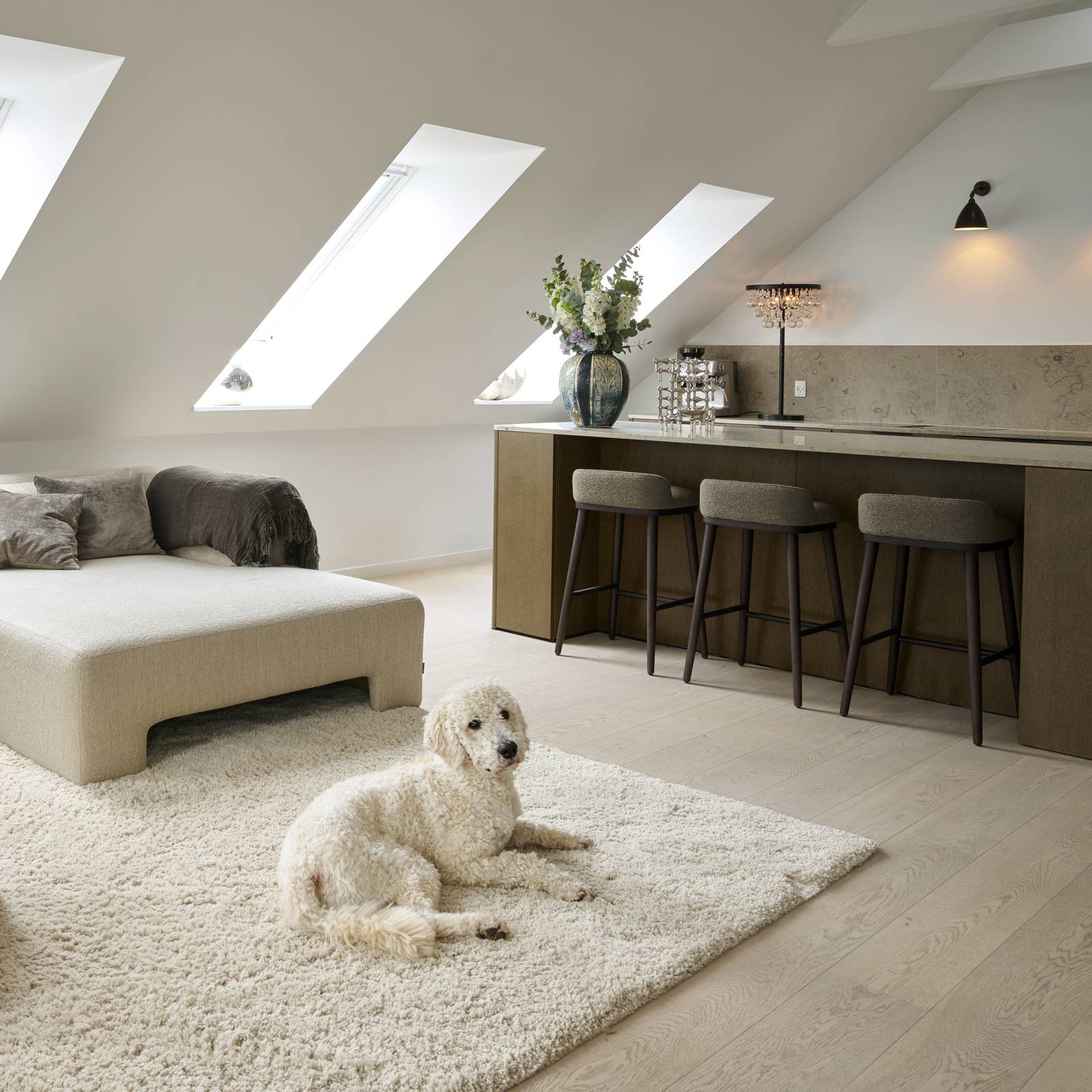 Hunden Winston hviler på gulvtæppet i stuen foran køkkenet i Josephine Havmøllers Re:new Forever Oak køkken fra INVITA