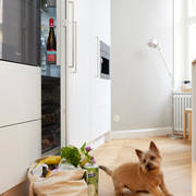 Koira leikkii keittiön lattialla, valkoinen keittiö, jossa sisäänrakennettu kahvaura ovessa, kalanruotopuulattia