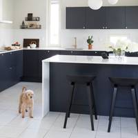 Perhekoira lattialla tummansinisessä Meri maalatussa sileässä keittiössä, jossa valkoinen marmorinen työtaso ja siihen sopiva splashback, keittiösaareke istuinalueella, messinkinupit ja messinkihana