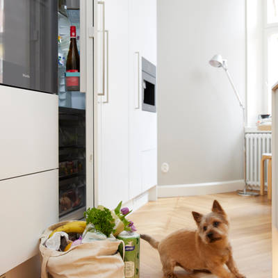 Koira leikkii keittiön lattialla, valkoinen keittiö, jossa sisäänrakennettu kahvaura ovessa, kalanruotopuulattia