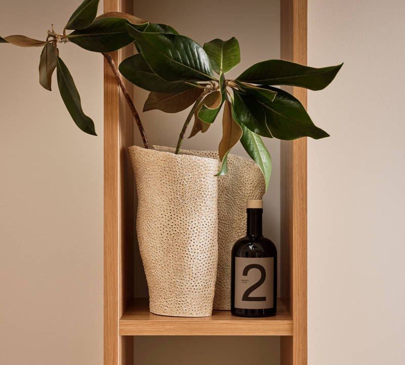 Nærbillede av krukkeplante i eg hylder