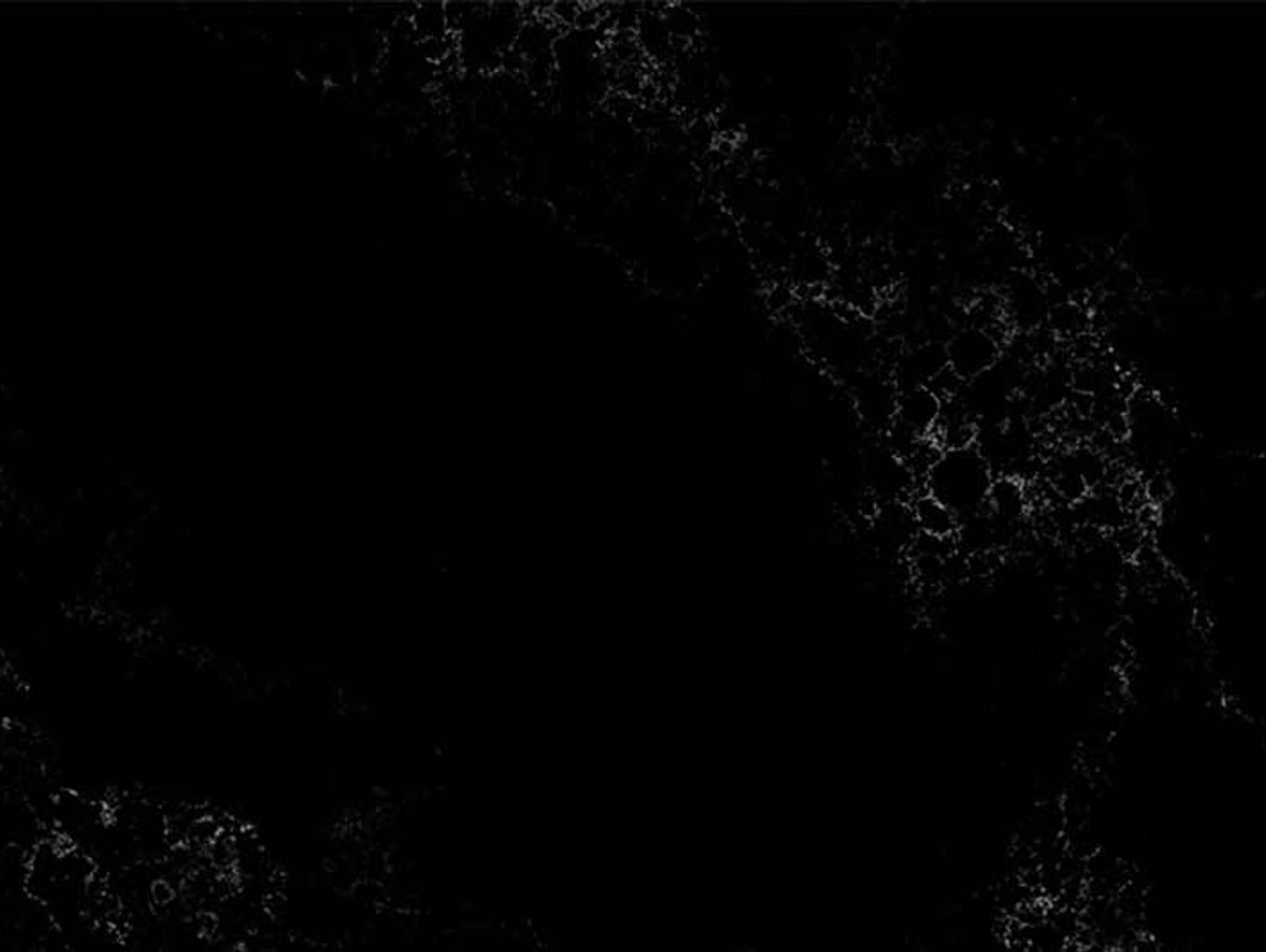 Caesarstone er vedlikeholdsfritt og av høy kvalitet, dette gjør de godt egnet for benkeplater på kjøkken.