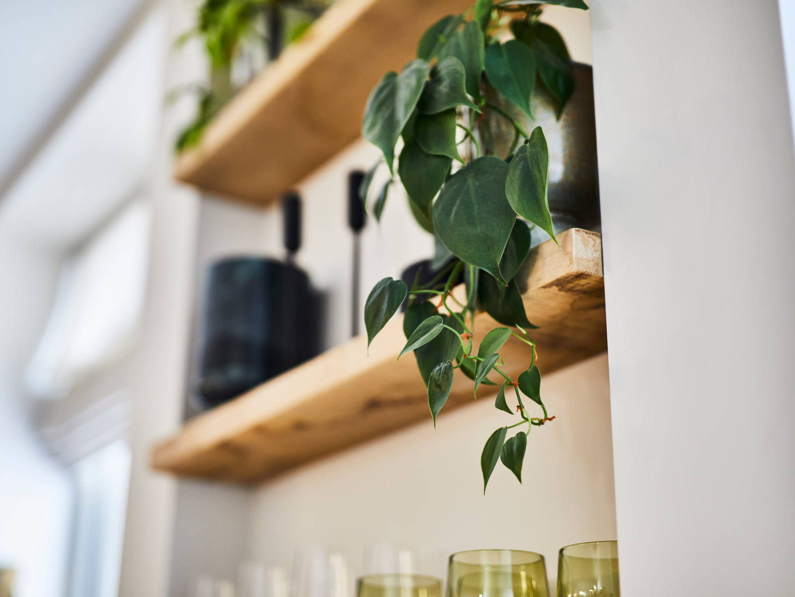 Open wooden shelves with plants.