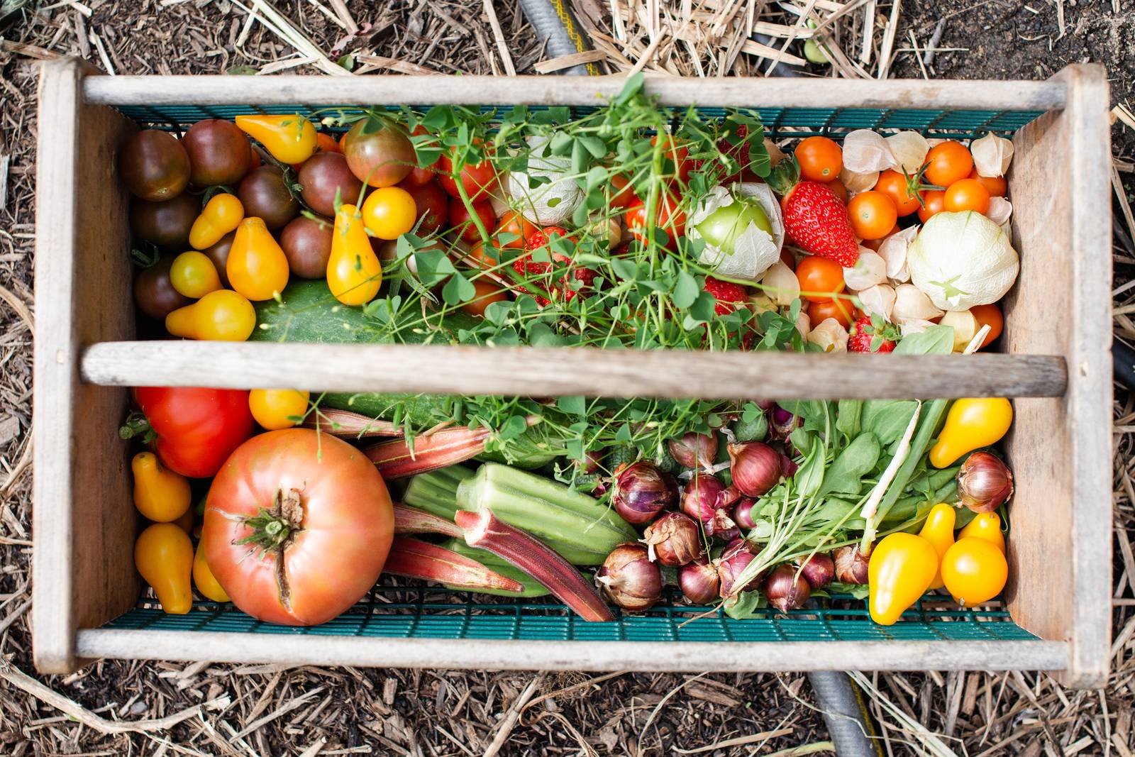 A basket full of fresh fruit and vegetables