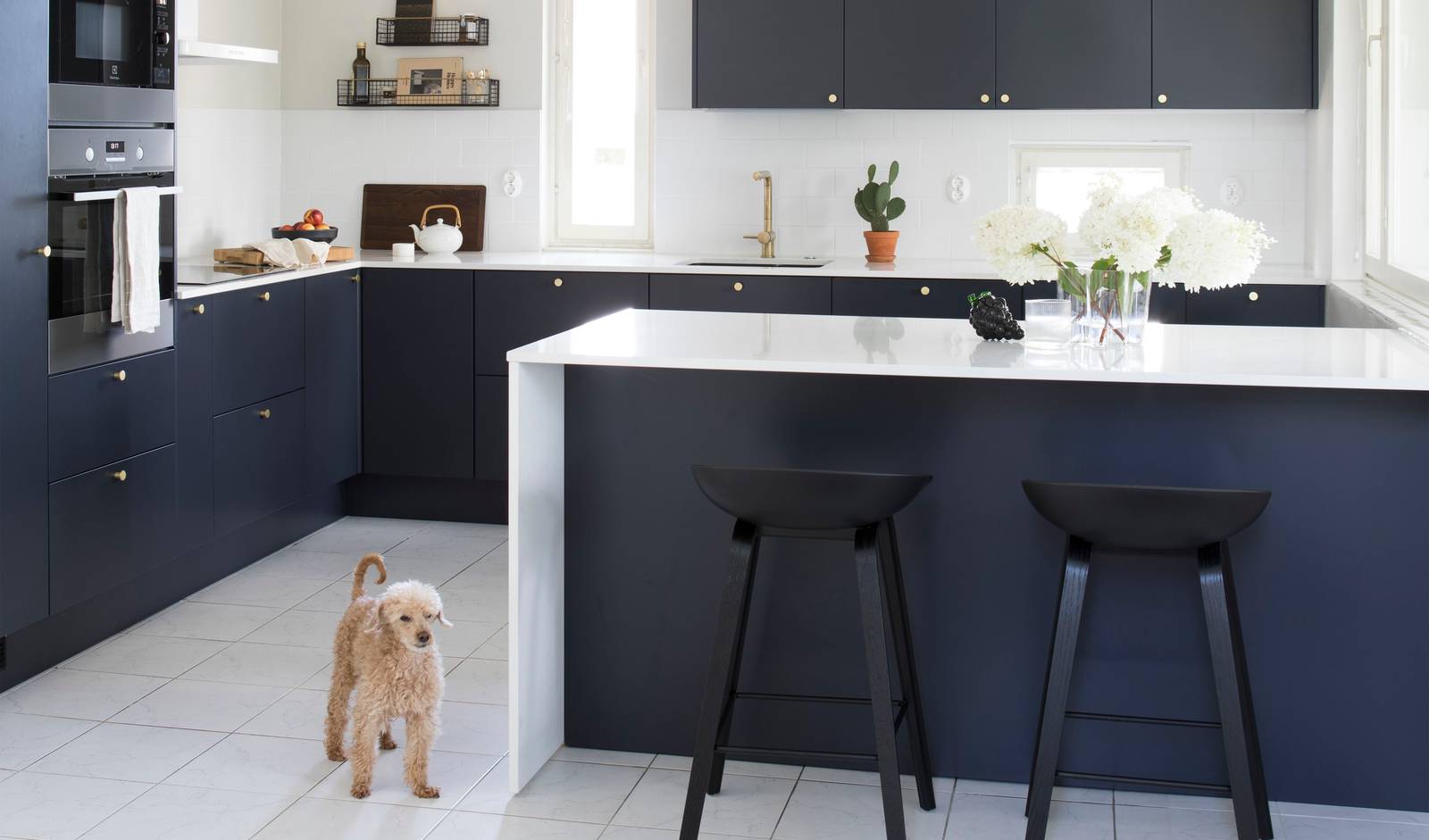 Perhekoira lattialla tummansinisessä Meri maalatussa sileässä keittiössä, jossa valkoinen marmorinen työtaso ja siihen sopiva splashback, keittiösaareke istuinalueella, messinkinupit ja messinkihana