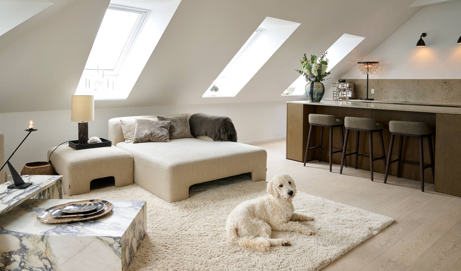 Hunden Winston hviler på gulvtæppet i stuen foran køkkenet i Josephine Havmøllers Re:new Forever Oak køkken fra INVITA